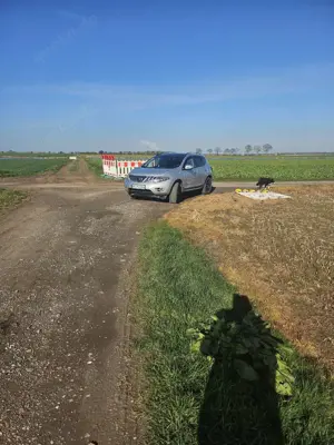 Nissan Murano CVT