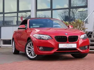 BMW 220 d Cabrio Sport Line Leder Klima PDC
