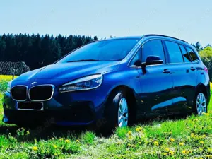 BMW 218 2er Gran Tourer Diesel 218d Gran Tourer Aut. Advantage