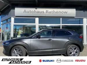 Mazda CX-30 Takumi HUD Navi Leder Soundsystem Bose 360 Kamera
