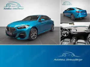 BMW Others 218i GC M Sport ACC H/K PANO RFK QI adaptive LED