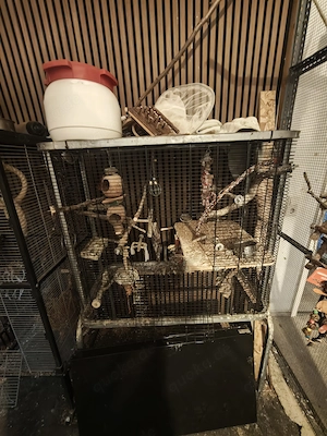 Voliere für Vögel und Kleintiere 