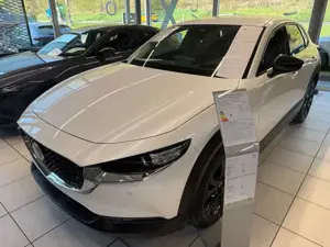 Mazda CX-3 0 Homura,6GS,140