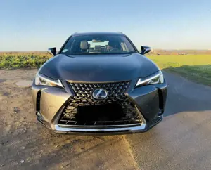Lexus UX 300e AHK für Fahrradträger