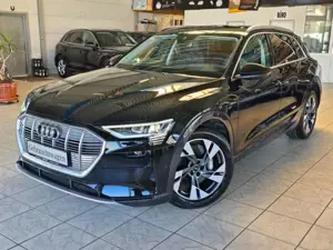 Audi e-tron 55 quattro advanced NIGHT MATRIX LEDER 20