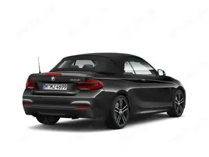 BMW 240 Cabrio Navi LED Alarmanlage Fernlichtass Bild 2