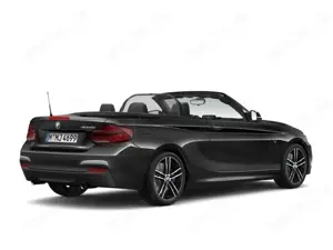 BMW 240 Cabrio Navi LED Alarmanlage Fernlichtass Bild 5