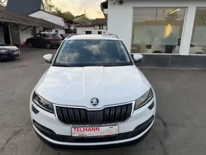 Skoda Karoq Style Bild 2