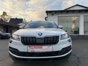 Skoda Karoq Style Bild 3