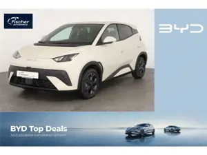BYD Dolphin Comfort LP: 32.449,- /Top-View/SHZ/DAB