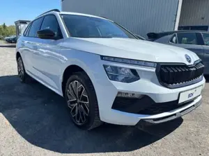 Skoda Kamiq TSI Selection -LED -PDC -Kamera -Winterpaket -uvm.
