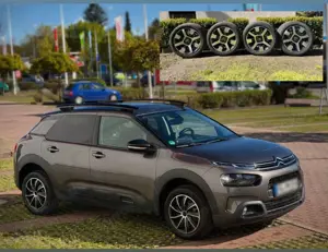 Citroen C4 Cactus Citroen C4 Cactus Shine 1.2 Puretech | Panorama