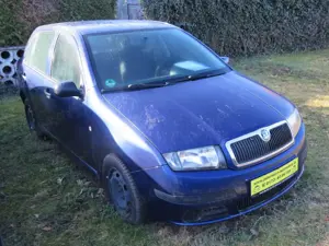 Skoda Fabia Cool Edition "Kein TÜV"