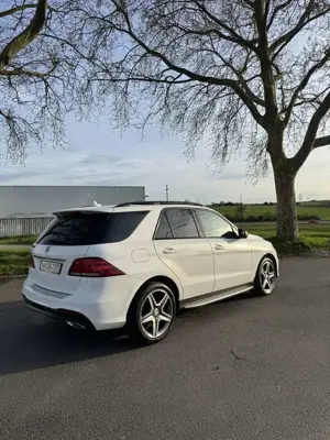 Mercedes-Benz GLE 350 d 4Matic 9G-TRONIC AMG Line Bild 5