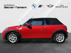 MINI Cooper S Cabrio Cooper S Cabrio Autom. Sportsitze SHZ PDC Bild 3