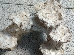 Verkaufe schöne Säule  Bild 2