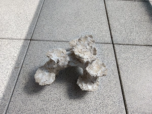 Verkaufe schöne Säule 