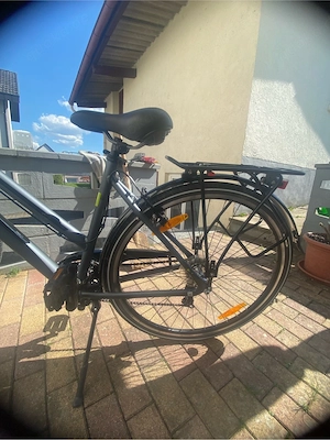 Damenfahrrad Pegasus Piazza Lite 28 Zoll Top Zustand Bild 3