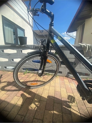 Damenfahrrad Pegasus Piazza Lite 28 Zoll Top Zustand Bild 2