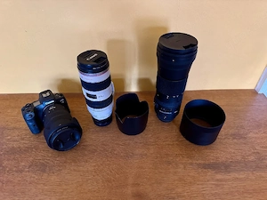Canon R5, Canon RF 24-70mm f2.8 & EF 70-200mm f2.8, Sigma Contemporary 150-600mm