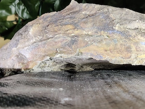 Sammlerstein fossil edelstein Naturstein regenbogenfarbe