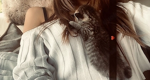 Baby katzen zu verschenken 