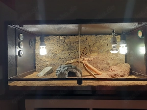 Terrarium aus Glass DRINGEND Verkaufen