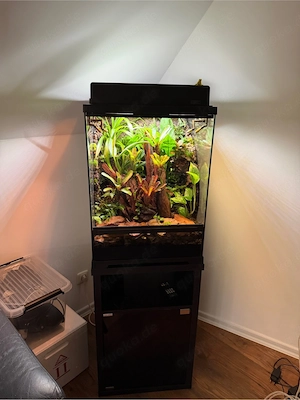 Exo Terra Pro Tropenterrarium Komplettset
