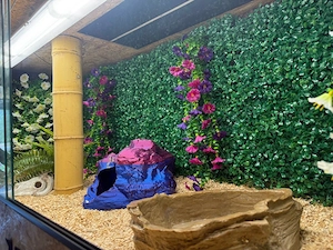 4x OSB- Terrarien 180*60*60 Bild 4