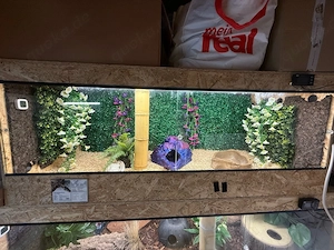4x OSB Terrarien 180x60x60