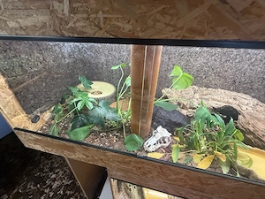 4x OSB- Terrarien 180*60*60