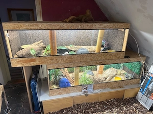 4x OSB- Terrarien 180*60*60 Bild 3