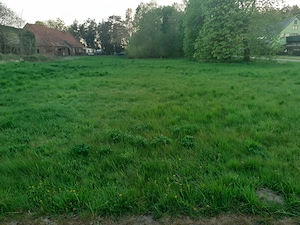 Vermietung Baugrundstück Ostsee 2.Reihe Bild 2