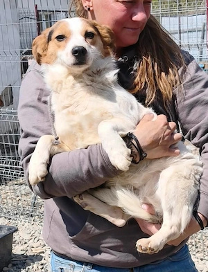 Nina sehnt sich nach einem liebevollen Zuhause Bild 2