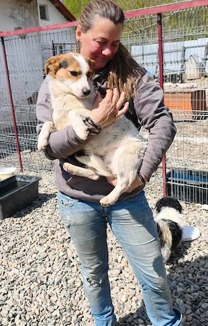 Nina sucht ein Zuhause für immer