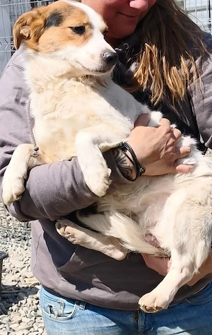 Nina sehnt sich nach einem liebevollen Zuhause Bild 5