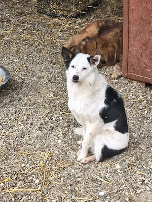 Palina - was fehlt bist du Bild 2