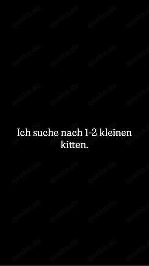 Liebevolles Zuhause sucht 1-2 Kitten