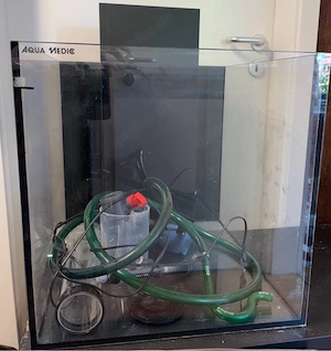 Meerwasseraquarium 120L