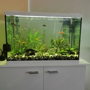 Aquarium zu verkaufen  Bild 4