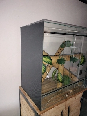 Terrarium 80*50*80 mit bambus