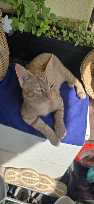 liebevolles Zuhause gesucht 