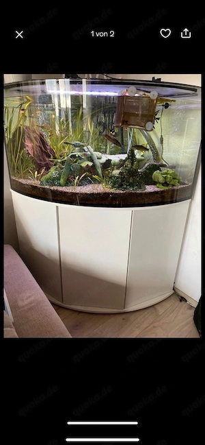 eckaquarium 350L 