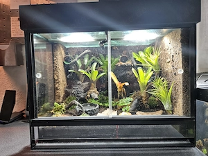 Verkaufe komplett eingerichtetes Terrarium 40x30x30 cm "wie neu"