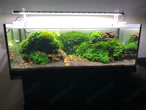 Aquarium mit Unterschrank, Technik und Besatz   96 Liter   Sera