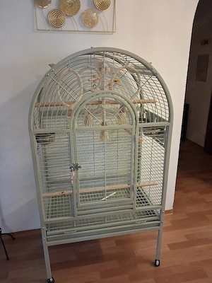große Käfig