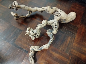 Terrarien Zubehör abzugeben  Bild 2