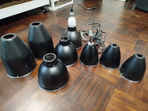 Terrarien Zubehör abzugeben 