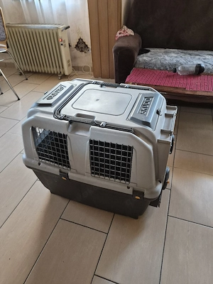 Hundetransport box 