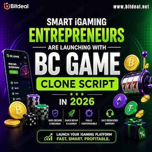 Smart iGaming Entrepreneurs Are Launching with BC Game Clone Script in 2026